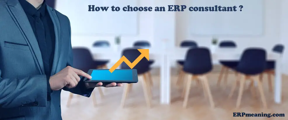 ERP consultant - ERP Meaning