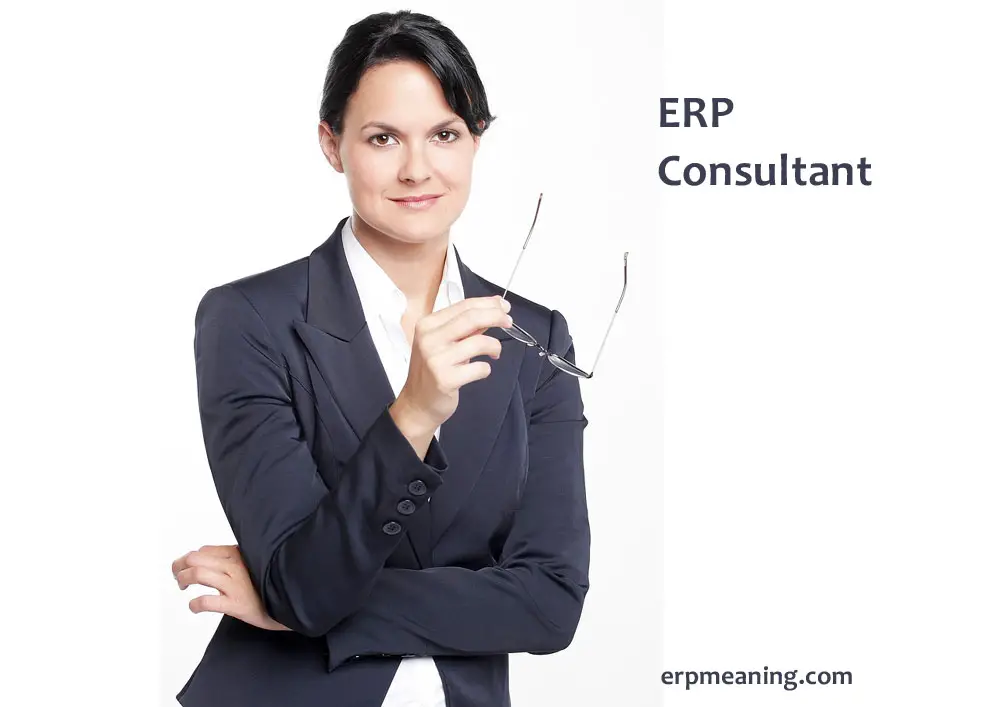 ERP Consultant Means