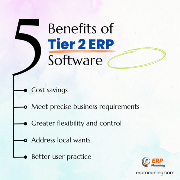 Tier 2 ERP Vendors