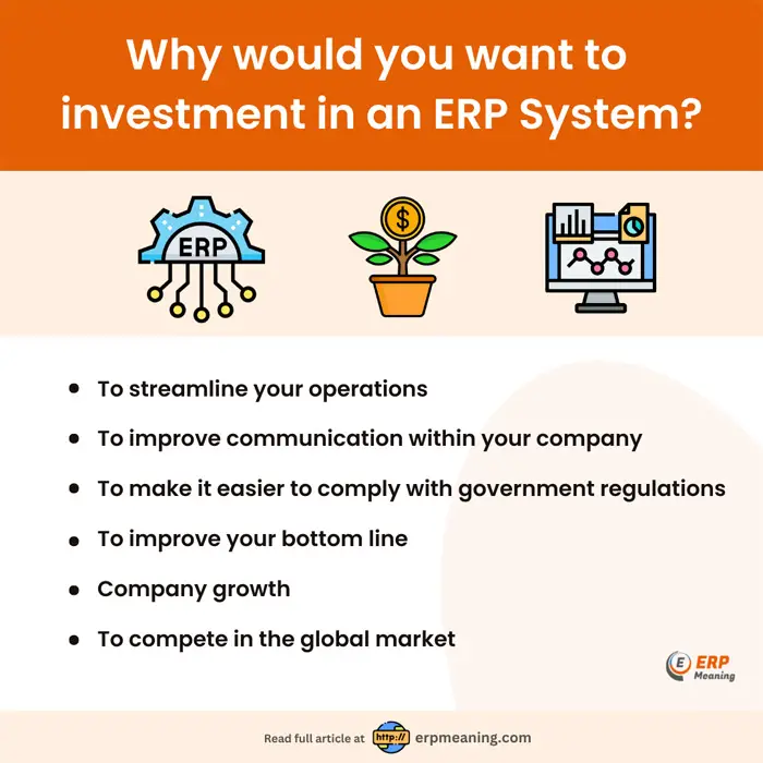 ERP Investment