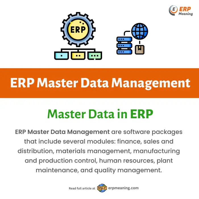 ERP Master Data Management