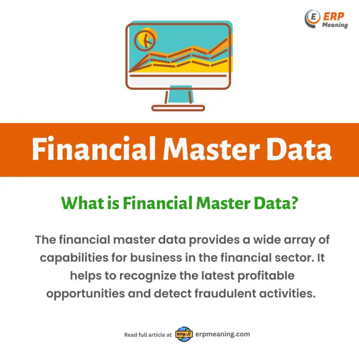 financial master data